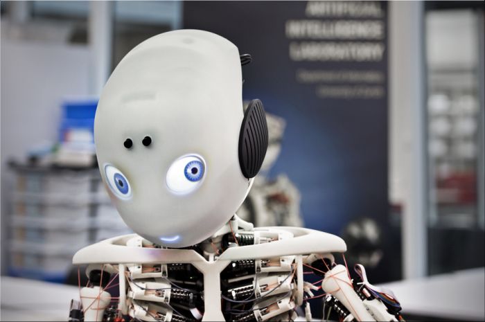 Roboy een humanoid-robot